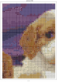 /album/esquemas-no-estan-completos-como-ejemplos-/perritos-4-png/